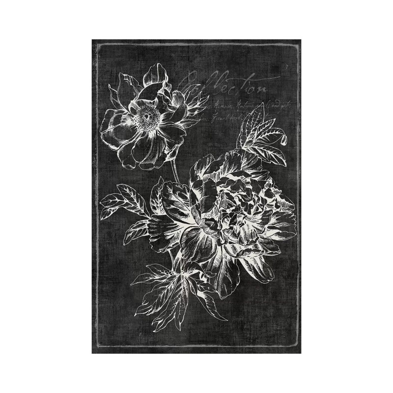 Black Botanical I by PI Galerie - Wrapped Canvas Print, 20.32 cm H x 30.48 cm W