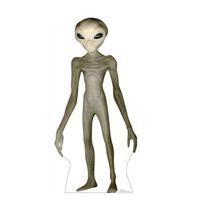65'' Other Cardboard Standup