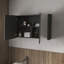 Medicine Cabinet with Included Mirrors and 2 Door-1670485103
