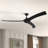 Burwell 62'' Ceiling Fan with LED Lights-1769156600