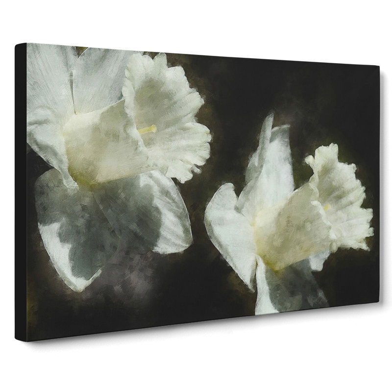 White Daffodils - Wrapped Canvas Print, 35cm H x 50cm W x 3cm D