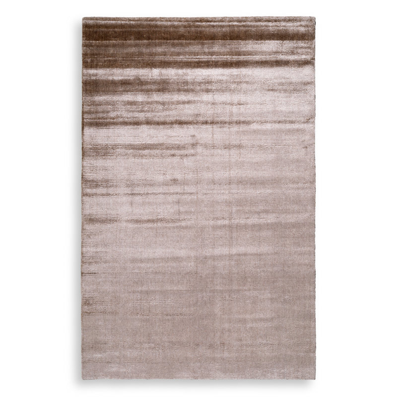 Asuri No Pattern And Not Solid Color Area Rug in Brown, Rectangle 9'10.11" x 13'1.48"