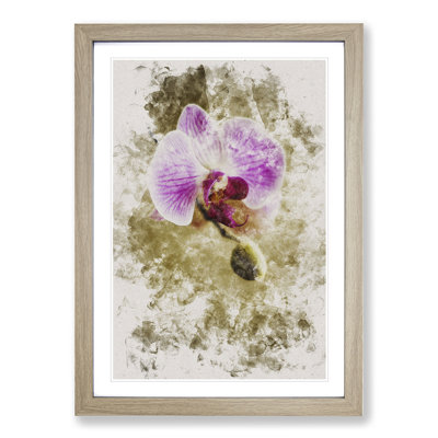 Orchid Flowers Vol.6 - Picture Frame Painting
