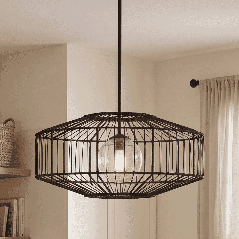 Cathe 1 - Light Black Drum Pendant