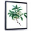 «Leaves Plants IV», reproduction sur toile encadrée-59638318-59638332