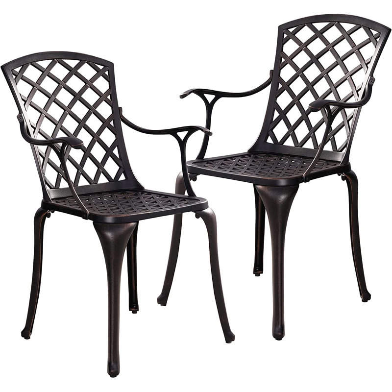 Ensemble de 2 chaises d'extérieur Cliffton, bronze
