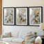 FLORAL Series CCLVI - Impression encadrée sur mesure de qualité supérieure - 3 pièces-2062514799-2062514798