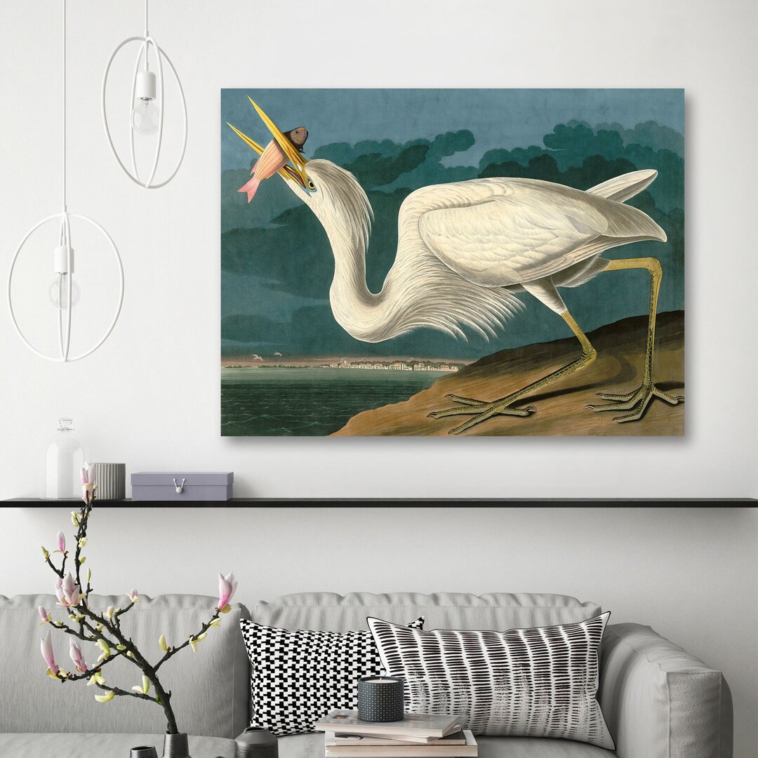 Leinwandbild Great White Heron von John Audubon