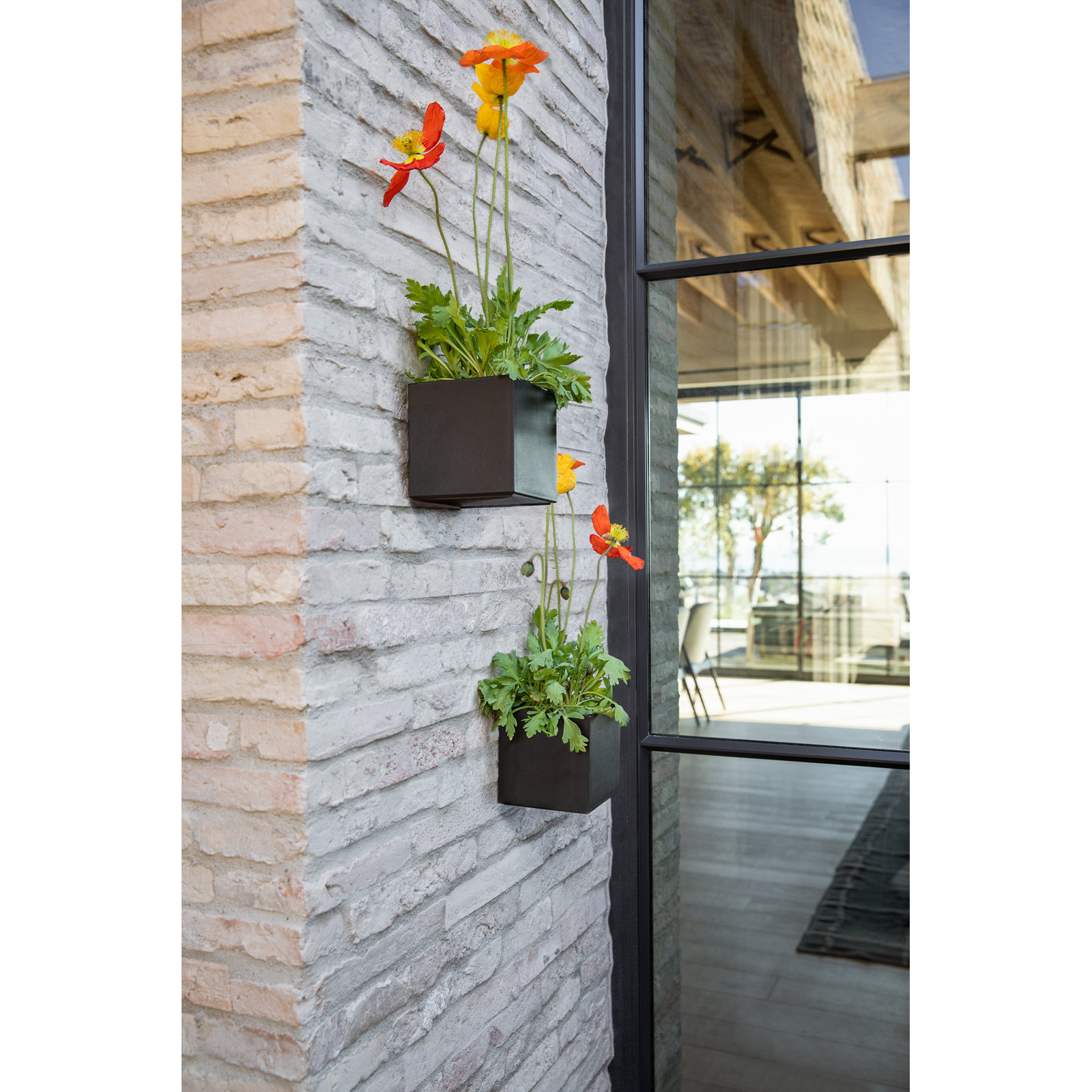 Geo Series Cube Hanging Planter, Black, Set Of 2