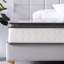 Bryna Euro Top Pocket Spring Mattress-74406790