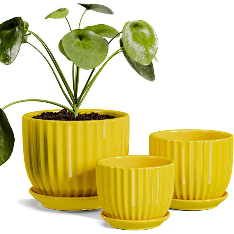 Ensemble de 3 pots à fleurs en céramique jaune (4/5/6 po)