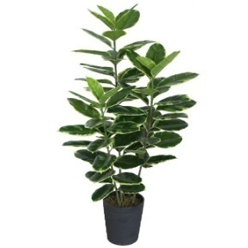 Annistyn 120cm Faux Rubber Tree in Pot
