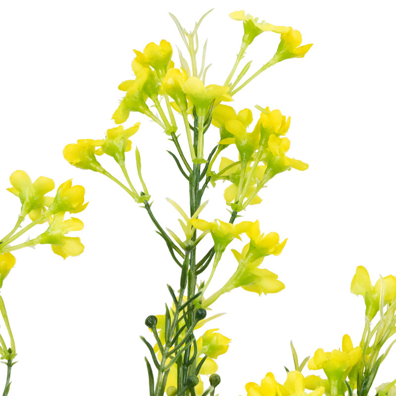 Mixed Arrangement, Yellow