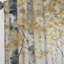 Birch Tree Forest Wonderland V - Rideau moderne - Velours obscurcissant - 1 panneau-107832009