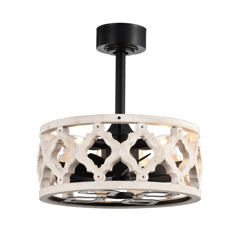 Ventilateur de plafond 12 pales en cage de 12,99 po avec télécommande et ensemble d'éclairage inclus Mica