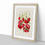 Illustration of Strawberry Plants - Framed Print-55641410-55641415
