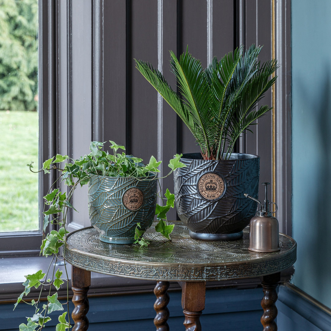 Ceramic Pot Planter