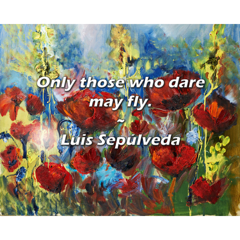 Citation de Luis Sepulveda: Seuls ceux qui osent voler., H 26 po x l 32 po