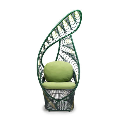 Peacock Chair