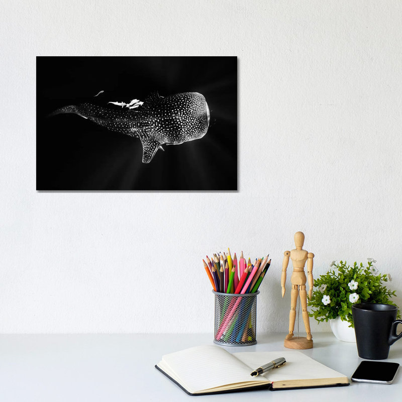 Black And Whale Shark by Barathieu Gabriel - Wrapped Canvas Print, 20.32 cm H x 30.48 cm W