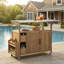Chariot de cuisine extérieur de 54,33 po, cadre en bois massif avec plateau en acier inoxydable, support à épices, porte-serviettes, roues verrouillables et rangement multifonctionnel pour la terrasse, le barbecue dans la cour arrière et la cuisine-2011113525