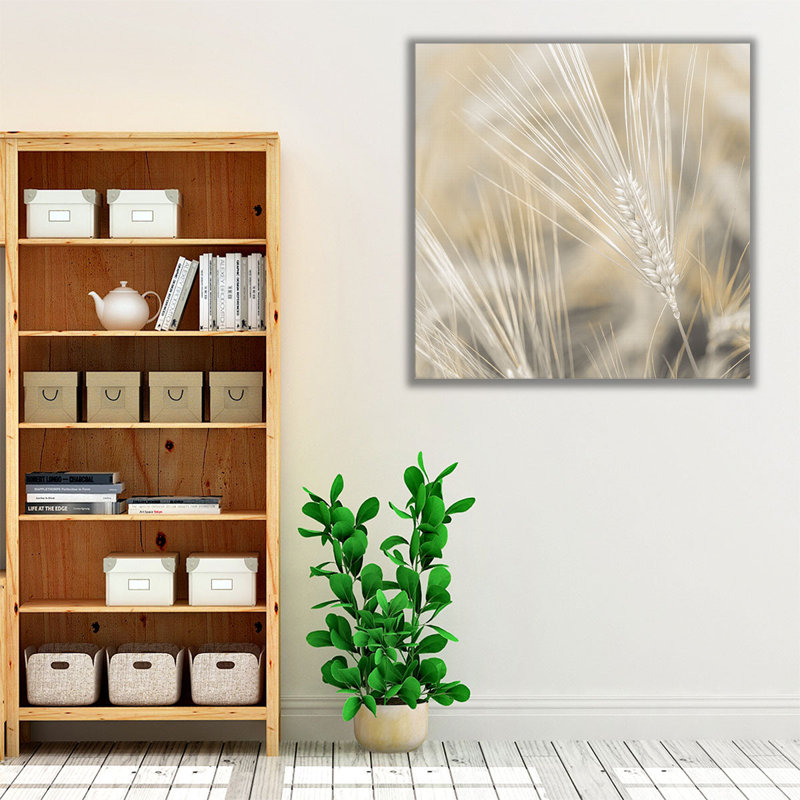 Wheat Close-up - Canvas Print Wall Art, 40" H x 40" W