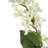 Mini Flower Arrangement-1882820413
