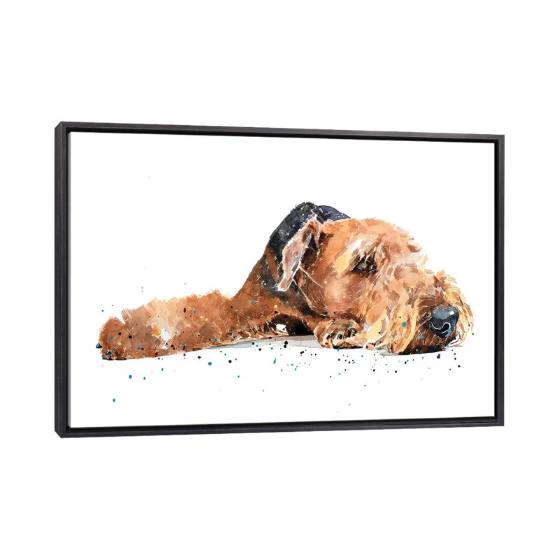 " Airedale " by EdsWatercolours, No Mat, 26" H x 40" W x 1.5" D, Distressed Black Framed Canvas