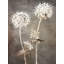 Art sur toile tendue par Winston Porter Allen, Kimberly Gallery, support 2