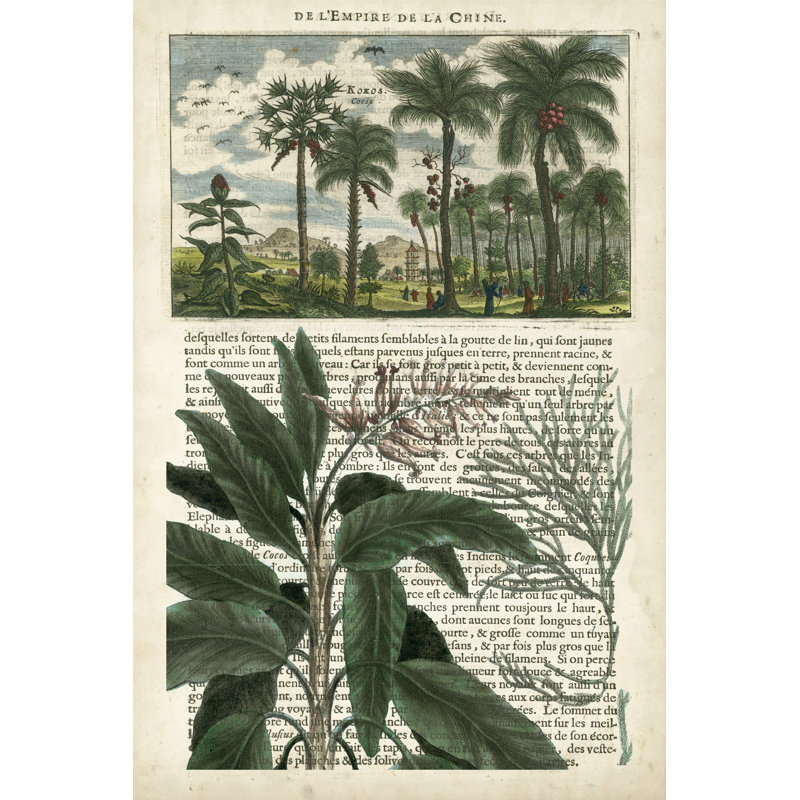 Journal of the Tropics I -  Graphic Art, 76 cm H x 51 cm W, Wrapped Canvas