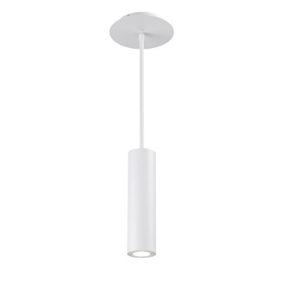 Luminaire suspendu d'extérieur à DEL intégré de calibre 1 H 10 po Caliber