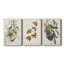 Pl 42 Orchard Oriole - 3 Piece Wrapped Canvas Painting Set-1906159775