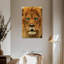 Brampt Lion Gaze-108523502