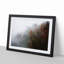 Mist Around the Forest - Picture Frame Graphic Art Print-55733682-55733683