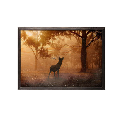 Perry Single Picture Frame Print