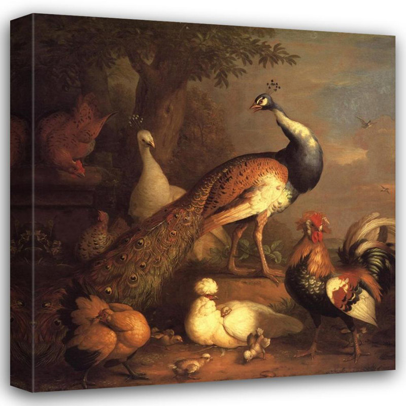 Peacock Peahen and Poultry