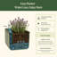 Pot à fleurs d'intérieur / extérieur à herbes en plastique avec treillis-133222225