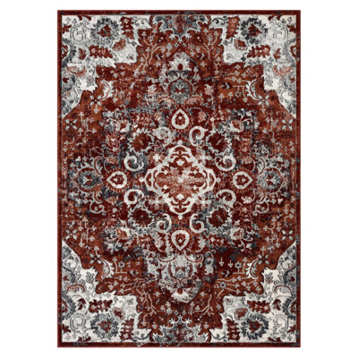 Rany Oriental Indoor Rug