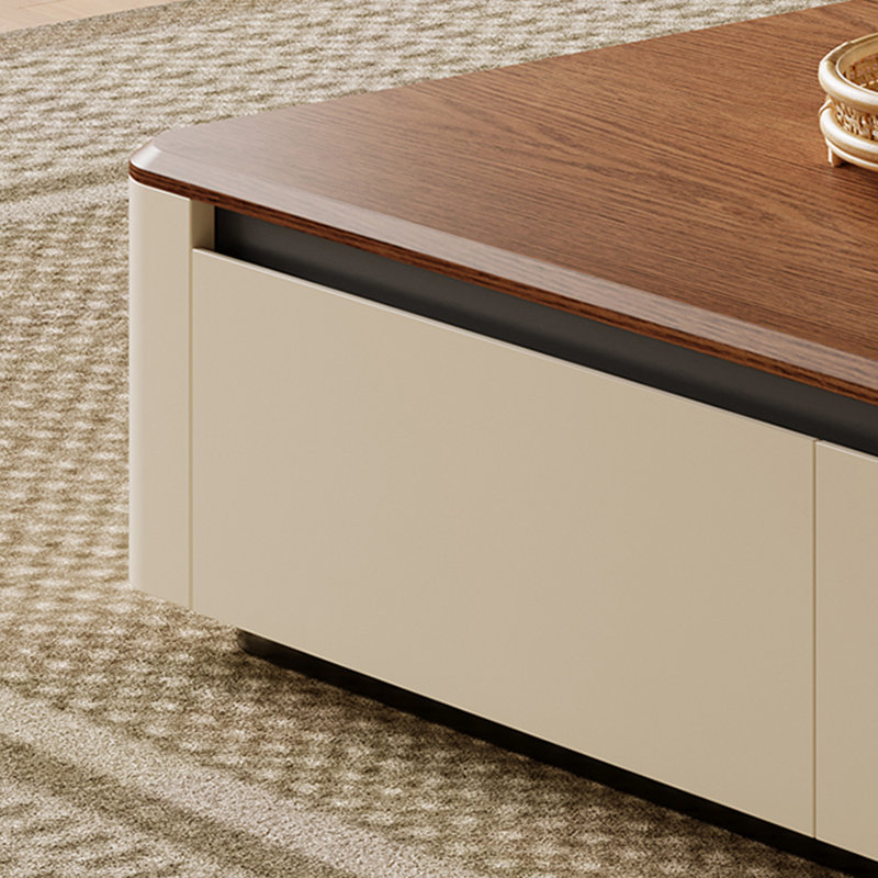 Modern rectangular storage coffee table