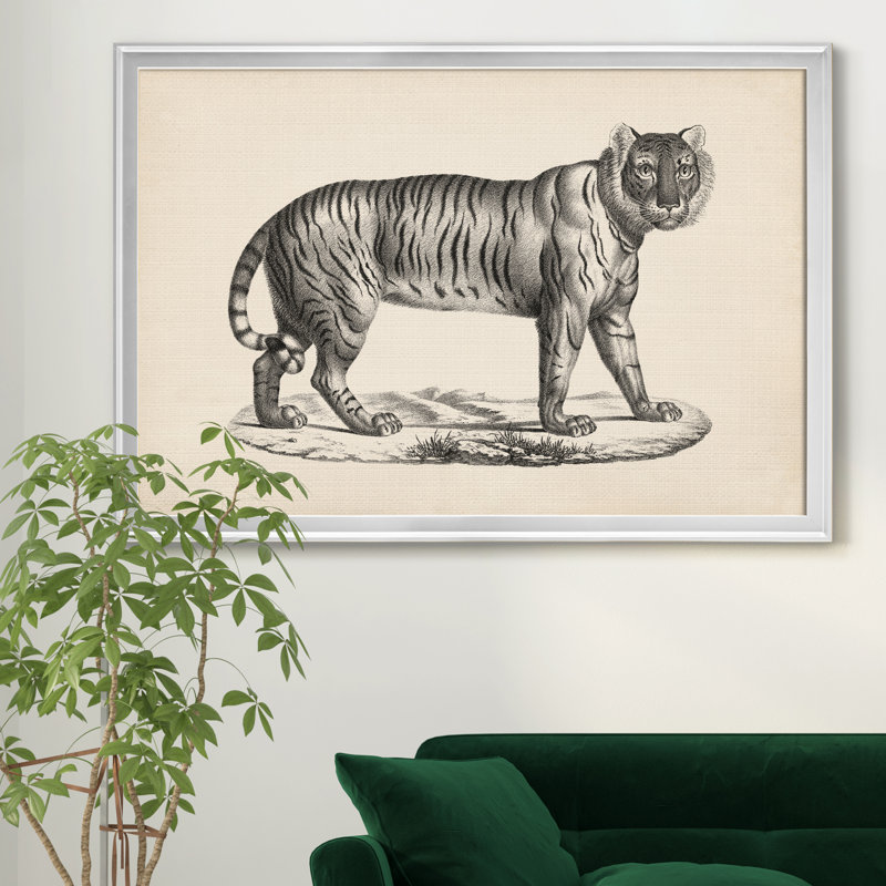 Brodtmann Female Tiger - Single Picture Frame Painting on Canvas, Silver, 22" H x 30" W x 1" D