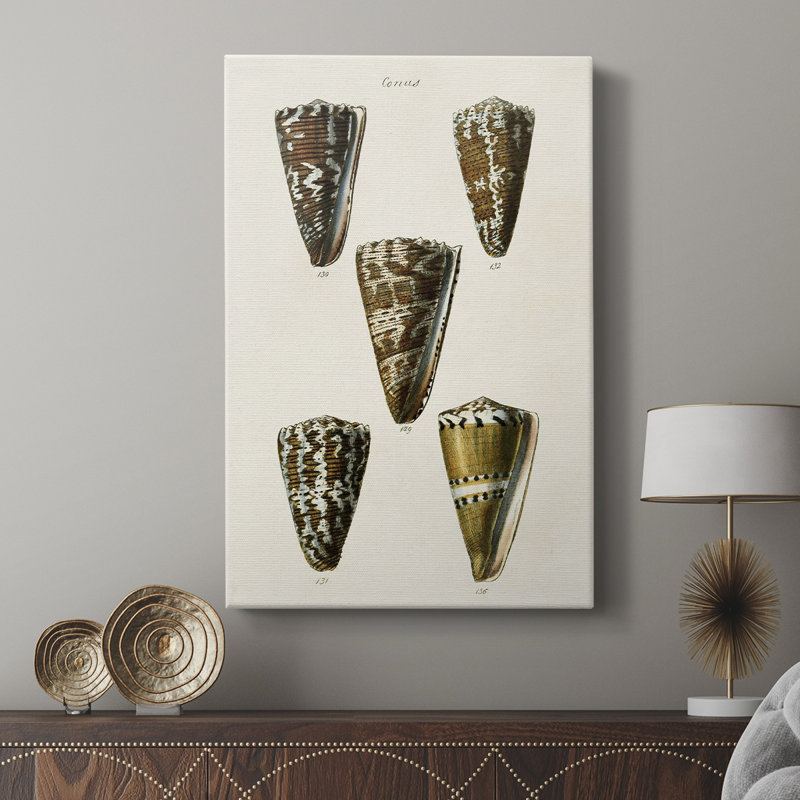 Collection Cone Shell V - Cavas enveloppés de galerie, H 27 po x l 18 po