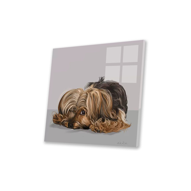 Yorkshire Terrier, un œil ouvert, impression sur verre acrylique, H 24 po x l 24 po x P 0,25 po
