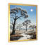 Baobab africain dans la nuit - Reproduction d'art mural arbre baobab-97170677-97170678