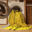 Tapis contemporain jaune 843 lavable à la machine-427397563