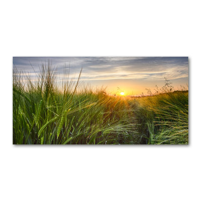 Wheat Field - Wrapped Canvas Print