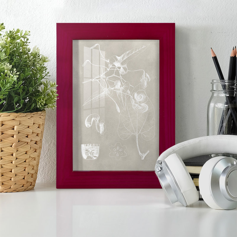 Schéma botanique I - Impression encadrée avec verre, Rouge, H 6 po x l 4 po x P 1 po