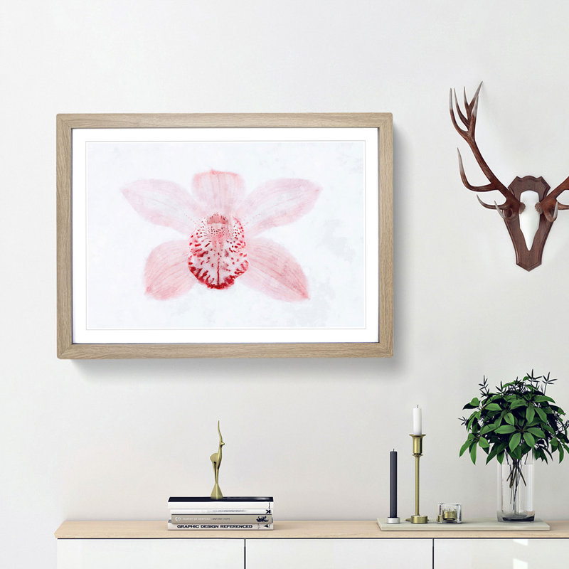 Light Pink Boat Orchid - Picture Frame Graphic Art Print, 45cm H x 63cm W x 2cm D, Oak Framed