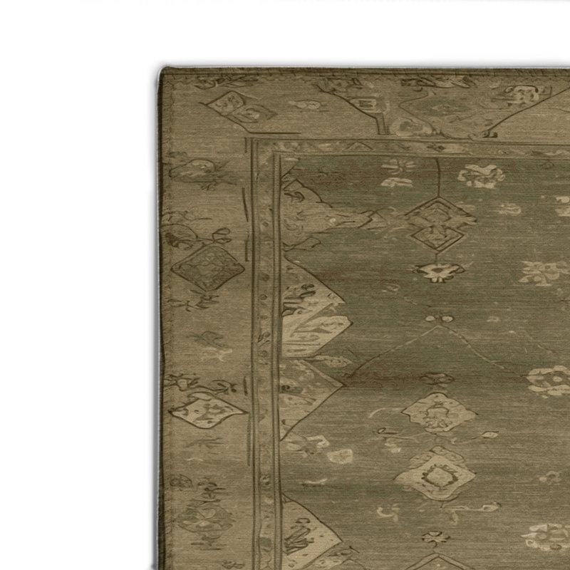 Tapis intérieur et extérieur brun Overdyed, Rectangulaire 2 pi x 3 pi