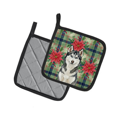 Husky de Sibérie, paire de poignées de poinsettas de Noël