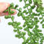 Faux plantes artificielles suspendues-68247054